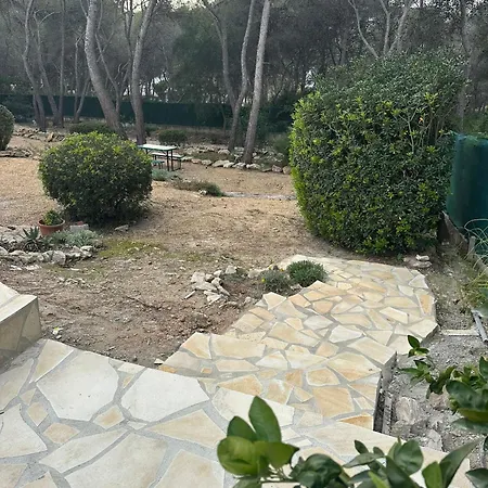 Coco Apartment